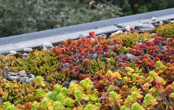 the cost of Pelcomb Bridge green roof installation