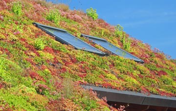 Pelcomb Bridge living roof systems