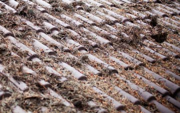 Pelcomb Bridge roof cleaning companies