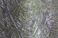 Pelcomb Bridge fibreglass roof work